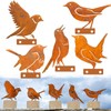 BSTDAYEVER Rust Birds Pack of 5 Metal Bird Reusable Rust