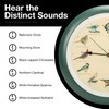 Mark Feldstein, The Original Singing Bird Wall Clock, 13 Inch,