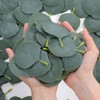 CIATBYYJ 300Pcs Eucalyptus Stems Artificial Eucalyptus Leaves Faux Eucalyptus Stems