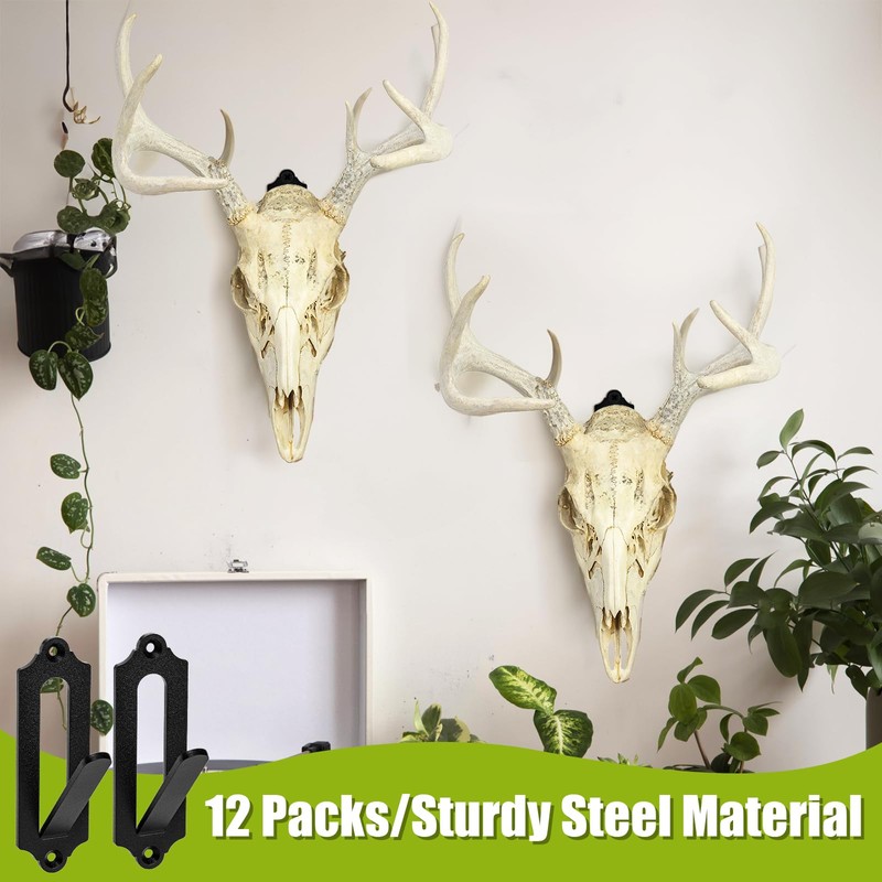 ZENFUN 12 Packs Mount Skull Hanger, Deer Skull Hanger, European