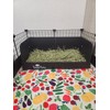 Hayzee Solid - Guinea Pig Litter Box - Hay Holder