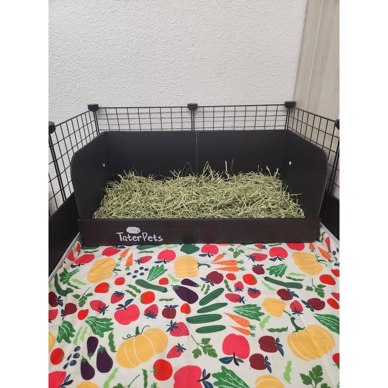 Hayzee Solid - Guinea Pig Litter Box - Hay Holder