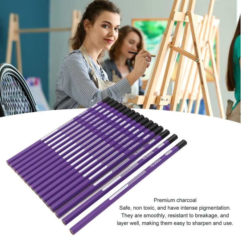 16pcs Charcoal Pencil Drawing Sketching Shading Pencils for Beginners Professional