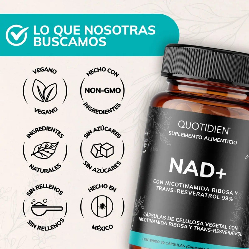 Nicotinamida Ribosa Quotidien Trans Resveratrol Ácido Alfa Lipoico Cápsulas Veganas