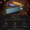 REBOOT GOLF グリーンフォーク ゴルフフォーク 本革収納ケース付 カラビナ付 ステンレス 持ち運び便利 ゴルフ用品 ゴルフアクセサリー