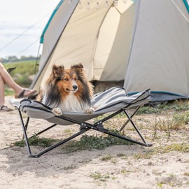 Trixie Camping Cot for Dogs Size S-M - Elevated Dog Bed with Steel Frame & Padded Top, Outdoor Dog Bed for Small and Medium Breeds up to 35lbs - 1x Dog Cot