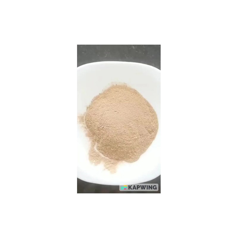Hongo Melena De Leon En Polvo Puro 100gr