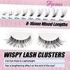 Fyonas Wispy Lash Clusters Eyelash Clusters Natural Look Cluster Eyelash