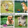 LAVAED 4 Pack Collapsible Dog Bowl Portable Foldable Travel Pets
