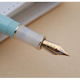 JINHAO 100 Fountain Pen with Ink Converter (Medium Nib 0.7mm, Light Green)