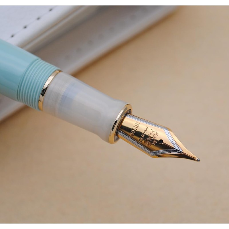 JINHAO 100 Fountain Pen with Ink Converter (Medium Nib 0.7mm,