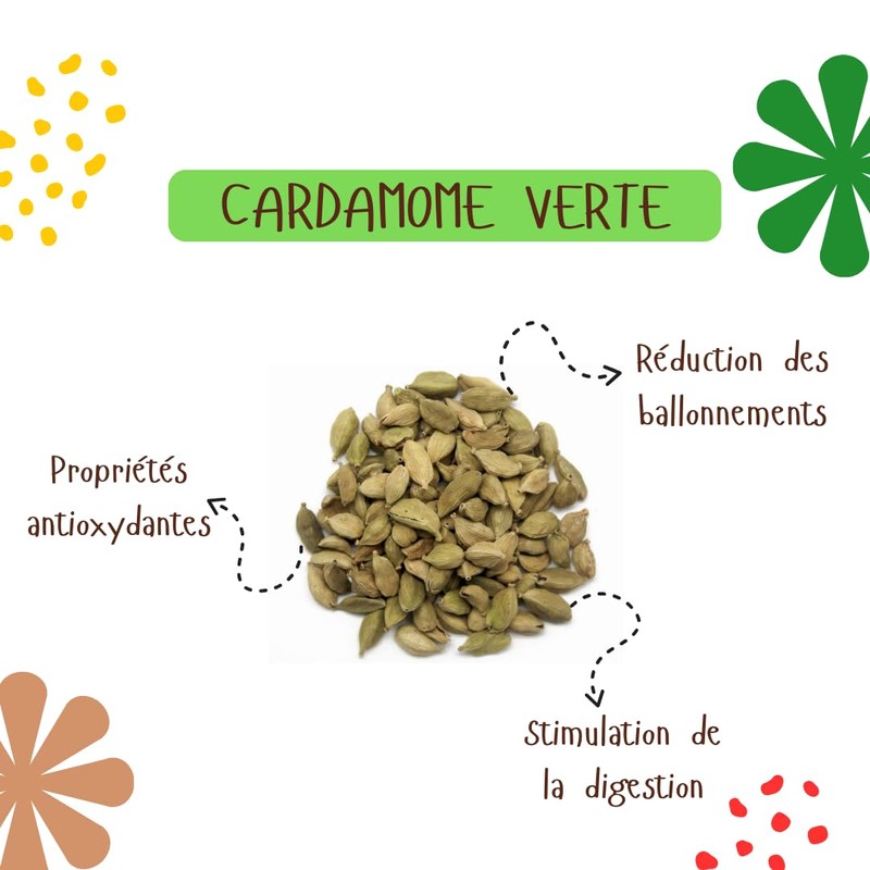 Digestion Tea: Relieve Bloating and Constipation for a Flat Stomach