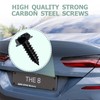 License Plate Screw Kit, Stainless License Plate Screws, Self Tapping