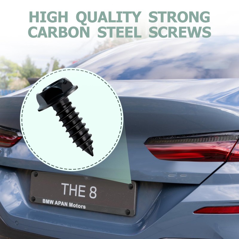License Plate Screw Kit, Stainless License Plate Screws, Self Tapping