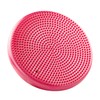 Aeromat Balance Disc Cushion