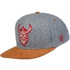 Cadency® Viking Snapback Cap, Grey, Unisex, Adjustable Size, gray, One
