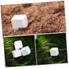 Abaodam 30pcs Natural for Tortoise Turtle Lizard Frog Chameleon Promotes