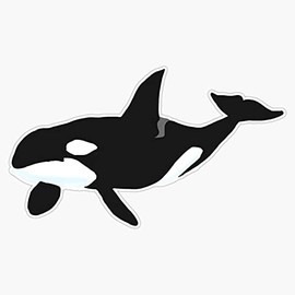 Generic Magnet Orca Whale Killer Whale Magnet Bumper Sticker Car Magnet Flexible Reuseable Magnetic Vinyl 5Inch, LAB-CTMAGNETS-2302