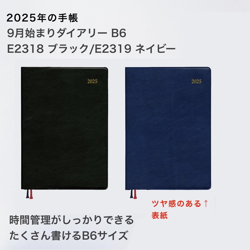 Daigo E2319 2025 Planner, Appointment, Weekly, Vertical Navy, Begins September