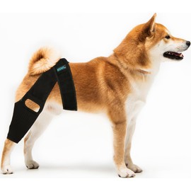 MSNPets Dog Knee Brace for Torn ACL | Leg Support | Ligament Injury | Injury Recovery | Front or Hind Leg | 3 Sizes (Small)