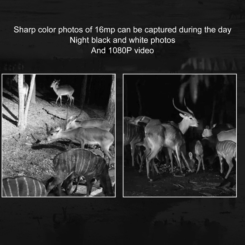 1080P Trail Camera with Night Vision IP66 2.0 In Screen