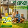 Fly Traps Outdoor for Patio, Hanging Fly Catcher with Bait,