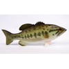 LX Handpainted Bass Statue Game Fish Replica 12" B