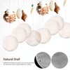 iplusmile Round Natural Shells: Pack of 50 White Shells in