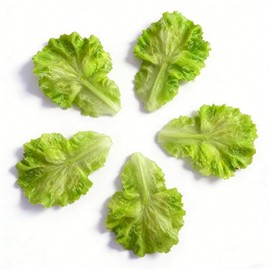 CNEZOMP Display Prop, 5PCS Artificial Lettuce Leaves Single Piece Food Model, 6.2x4.3 inches, PVC, for Home Kitchen Shop Decor PVC Plastic Green Vegetable Salad Simulation Realistic