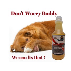 DESTROYER - Best Permanent Urine Stain and Odor Remover. No More Re-Marking. Dissolve and Neutralize the Urine Salts. Spot and Stain Gone for Good.