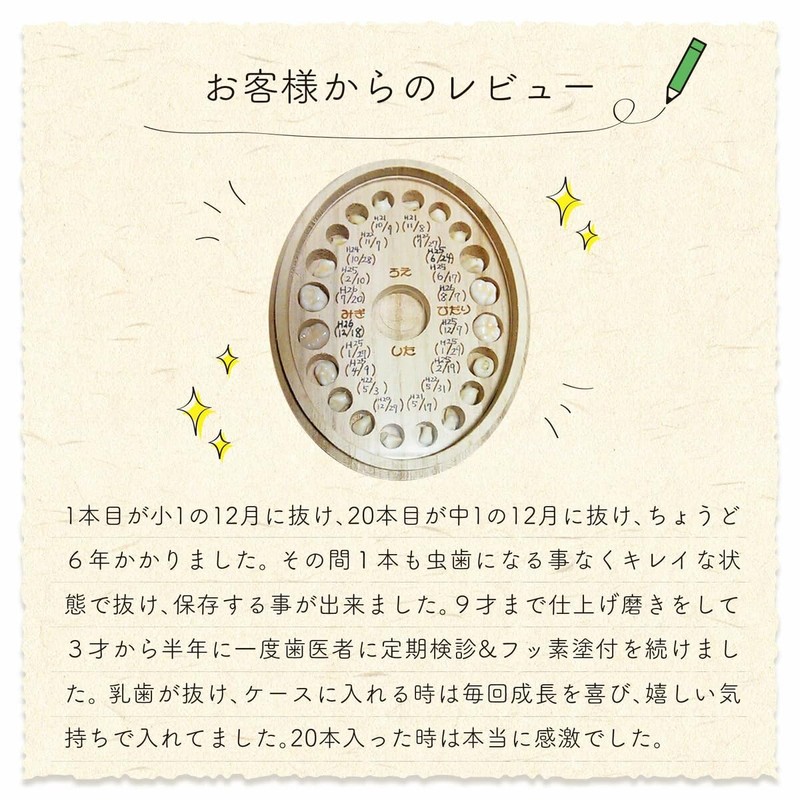 Beagrad Store Paulownia Tooth Case (Teddy Bear)