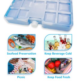 WORLD-BIO Large Reusable Freezer Ice Pack for Lunch Boxes, Coolers, Picnics, Camping, Fishing - 10 x 7.9 x 1.2 Inch