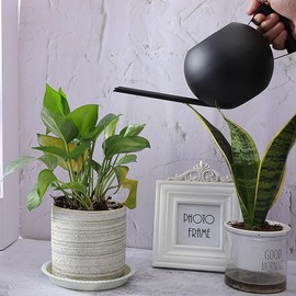 Chemlliy Watering Can with Long Spout and Comfortable Handle, 35 oz/1000ml Small Watering Can for Indoor Plants, Stainless Steel Garden Watering Pot for Indoor House Plants Bonsai Flower Decorative