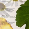 ESPA Tri-Active™ Regenerating Treatment Oil 30ml, Bio Retinol