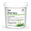 Química Rex Gel Aloe Vera 1kg Hipoalergénico Libre Parabenos Piel
