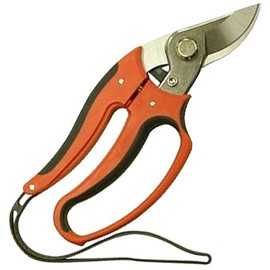 浅香工業 ガーデン鋏 金象 190590 本体: 奥行20cm 本体: 高さ2cm 本体: 幅8cm