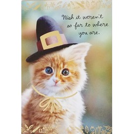 Wish It Weren't So Far To Where You Are - Missing You Long Distance Across The Miles Happy Thanksgiving Greeting Card with Pilgrim Cat