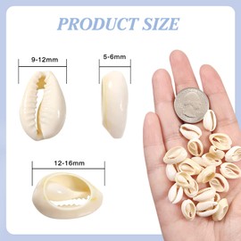 TOAOB 200pcs Shell Beads Craft Oval Spiral Shells Beads Natural Spiral Cowrie Shell Charms 12 to 16mm for Jewellery Making Bracelet Necklace Accessories Crafts DIY
