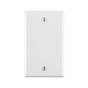 Leviton 1-Gang No Device Blank Wallplate, Standard Size, Thermoplastic Nylon,