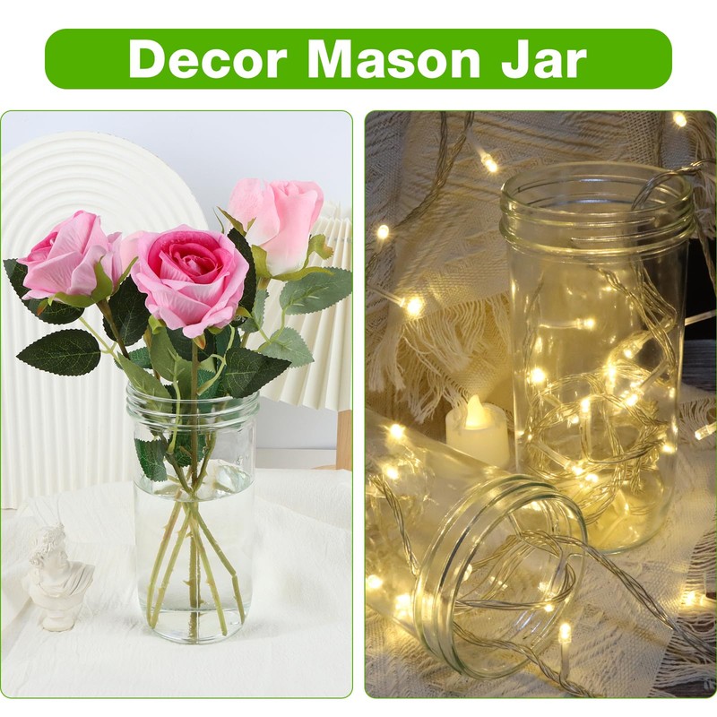 CARBLIN Wide Mouth Mason Jars 24 oz, 2 Pack Glass