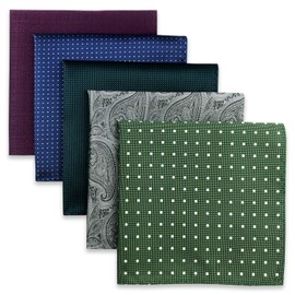 Shlax&Wing 5 Pieces Assorted Mens Pocket Square Handkerchiefs Set Lot (Set53)