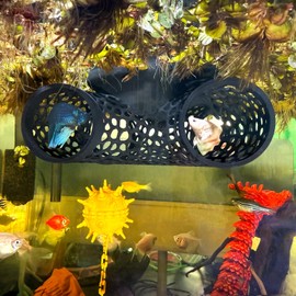 Grilx- Tronco flotante para peces betta, túnel y hamaca para escondite, cueva de descanso para peces pequeños o camarones, alimentador flotante, anillo de alimentación, decoración para acuario (negro)