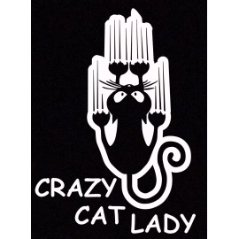 Egl CRAZY CAT LADY Vinyl Decal Car Window Wall Bumper Macbook Stick Family Mom Funny