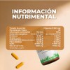 Vidanat Cúrcuma 500 mg 60 Cáps – Complemento Alimenticio Natural