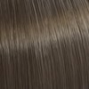 Color Touch Rich Naturals 7/97 Medium Blonde Cendré Brown 60