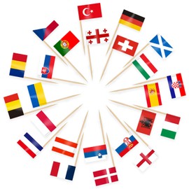 AhfuLife 24 Countries International Toothpicks Cocktail Flag, 24 Countries World Flags Flag Toothpicks for Euro Vision World Cup Cupcake Toppers Toothpick Euro Football Olympic Party Pub Decoration