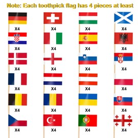 AhfuLife 24 Countries International Toothpicks Cocktail Flag, 24 Countries World Flags Flag Toothpicks for Euro Vision World Cup Cupcake Toppers Toothpick Euro Football Olympic Party Pub Decoration