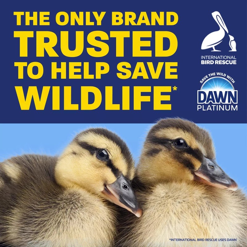 Dawn Platinum Dish Soap Refreshing Rain 90 fl oz Liquid