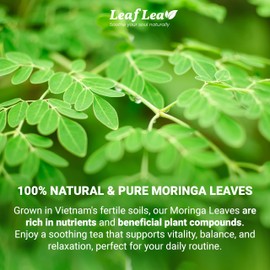 LeafLea Moringa Tea, 120 Fresh-Sealed Tea Bags, Premium Herbal Blend from 100% Natural Moringa Leaves, Supports Digestion & Immune Health, Caffeine-Free, Sugar-Free, Vegan, Non-GMO