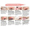 Lomansa Lash Lift Kit, Eyelash Perming Kit, Brow Lamination Kit,